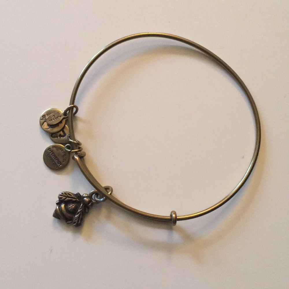 Alex and Ani Bumblebee bangle